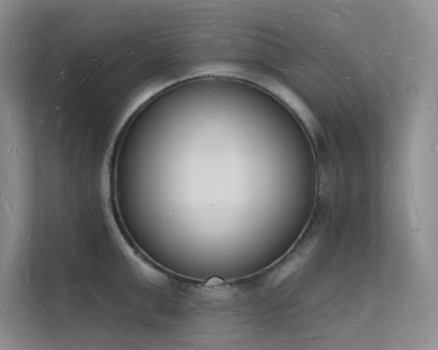 X0000112140999200908071052