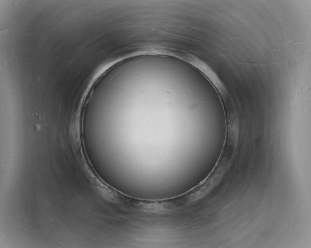 X0000112141004200908071052
