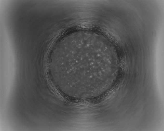 X0000112141009200908071051