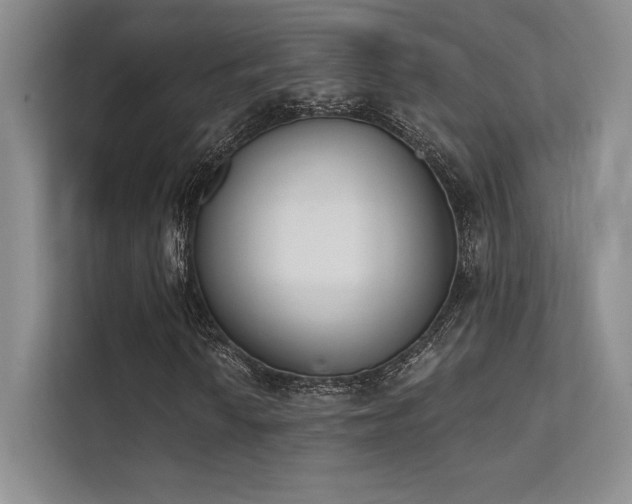 X0000112141010200908071051