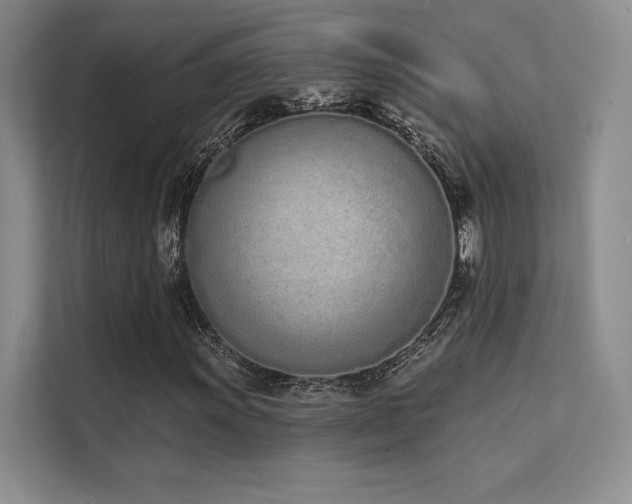 X0000112141011200908071051