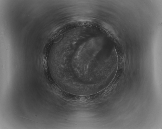 X0000112141013200908071051