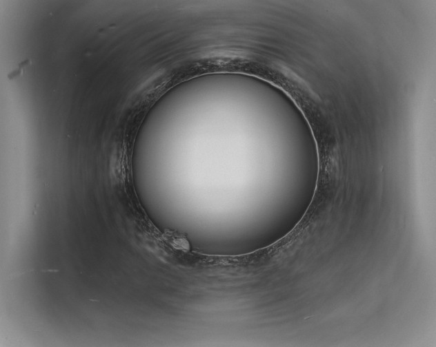X0000112141014200908071051