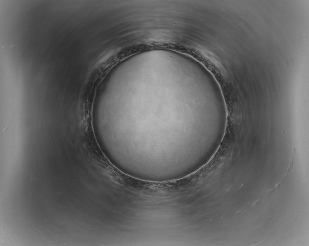 X0000112141015200908071051