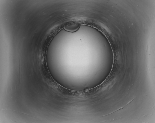 X0000112141016200908071051