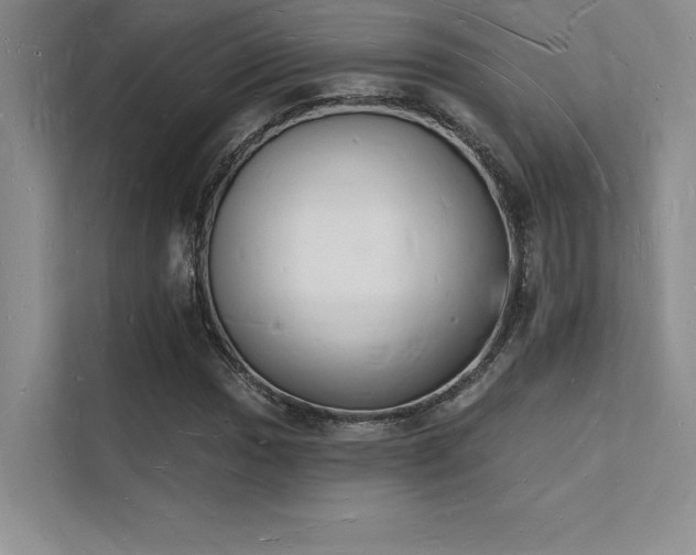 X0000112141017200908071051