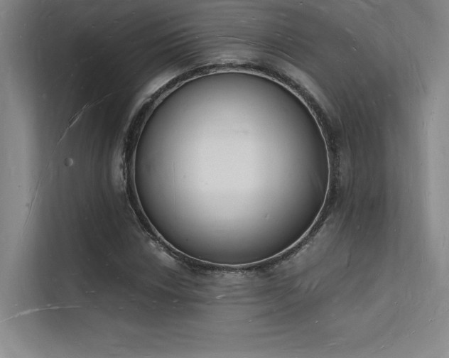 X0000112141018200908071051