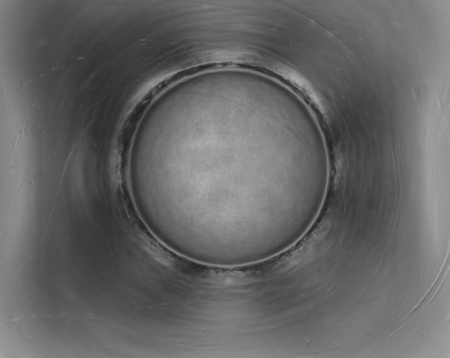 X0000112141019200908071051