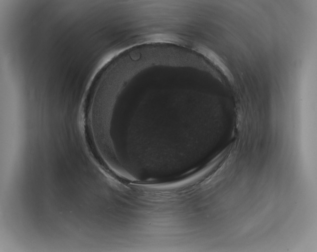 X0000112141024200908071051