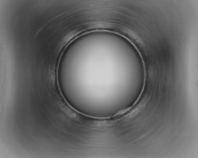 X0000112141025200908071051