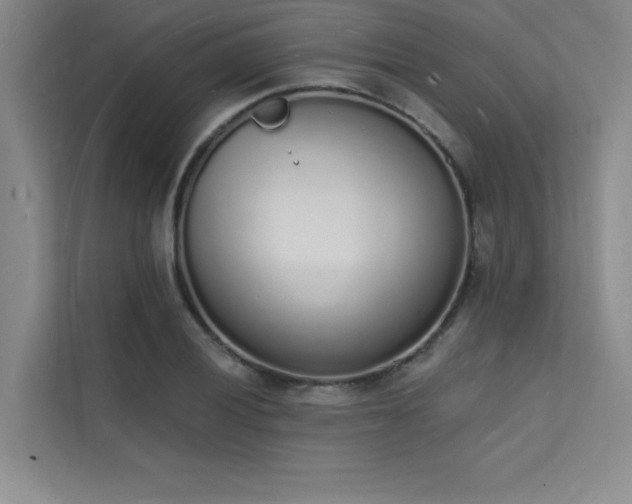 X0000112141028200908071051