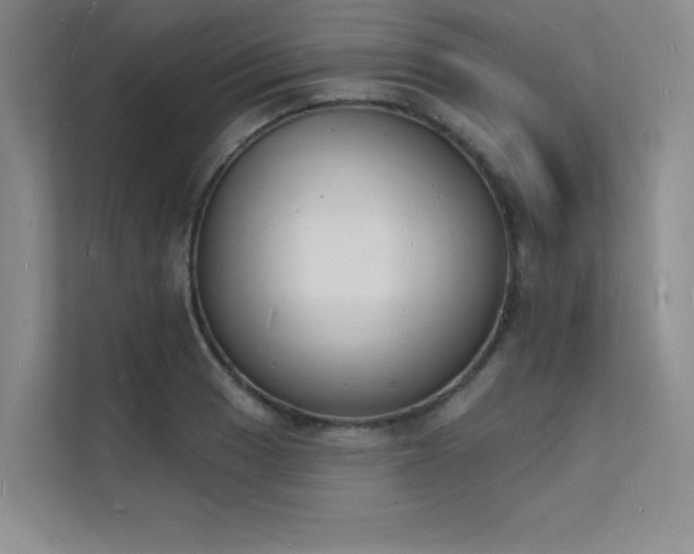 X0000112141033200908071052