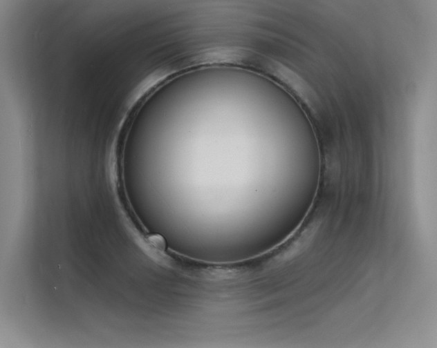 X0000112141034200908071052
