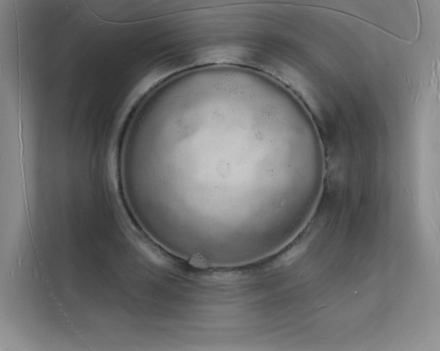 X0000112141035200908071052