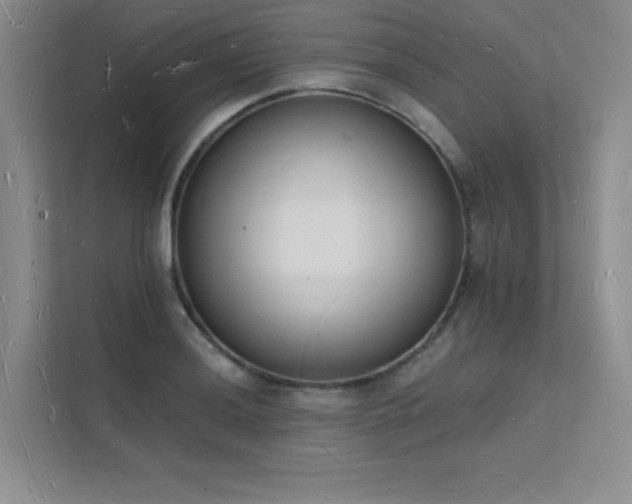 X0000112141036200908071052
