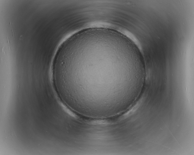 X0000112141037200908071052