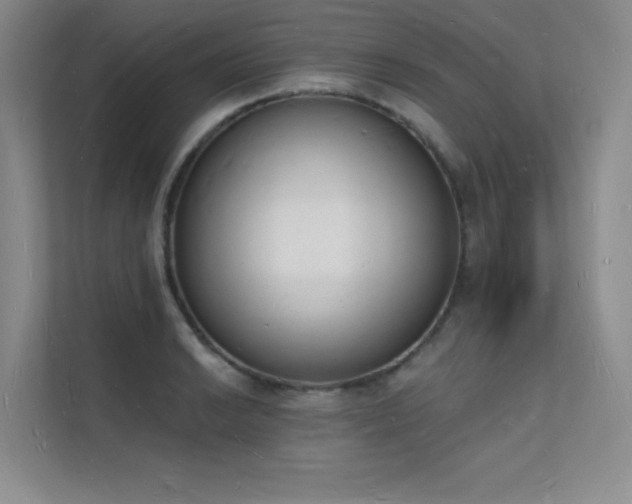 X0000112141038200908071052