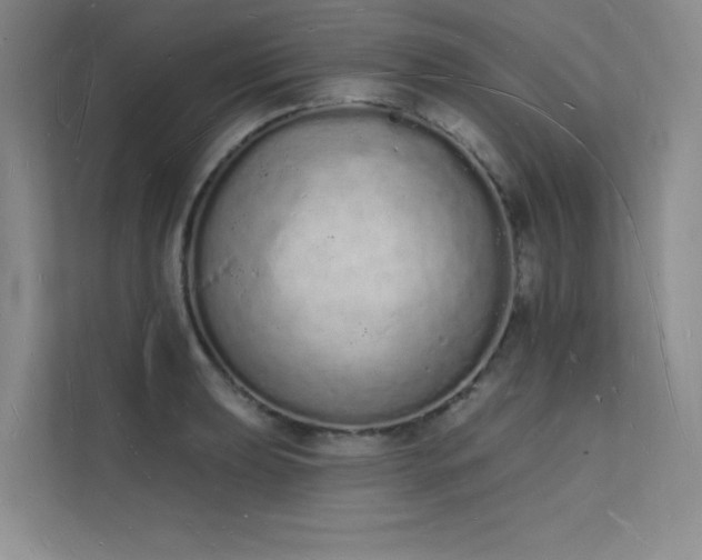X0000112141039200908071052