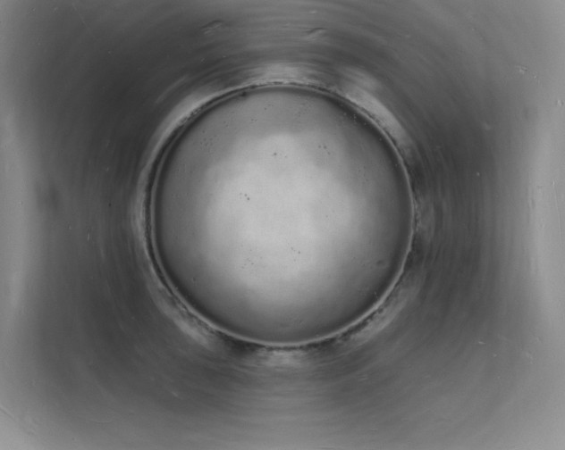 X0000112141043200908071052