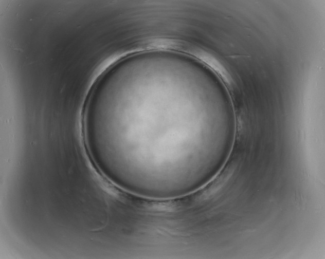 X0000112141047200908071052