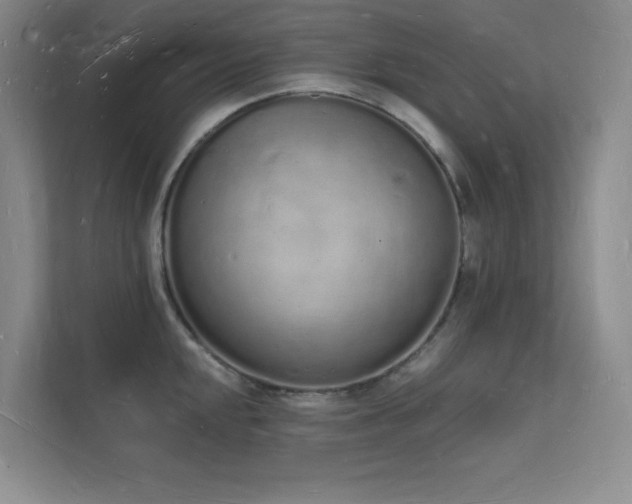 X0000112141048200908071052