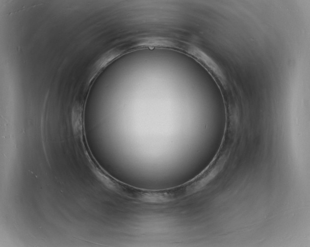 X0000112141049200908071052