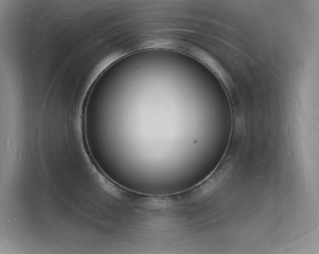 X0000112141050200908071052