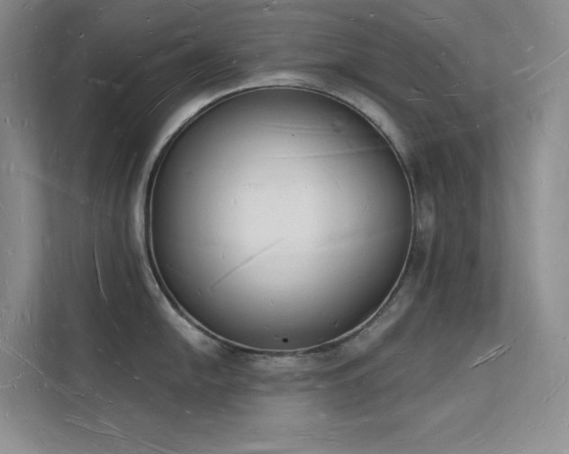 X0000112141054200908071052