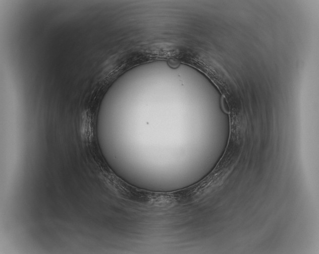 X0000112141058200908071051
