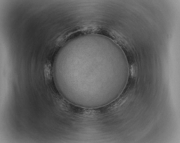X0000112141059200908071051