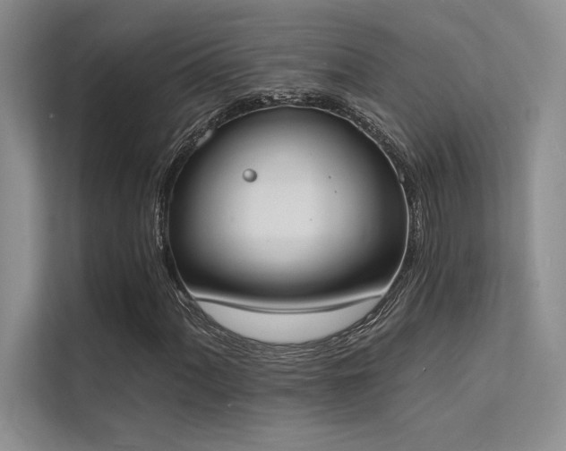 X0000112141060200908071051