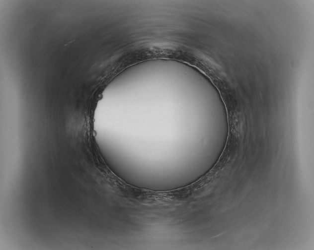 X0000112141061200908071051