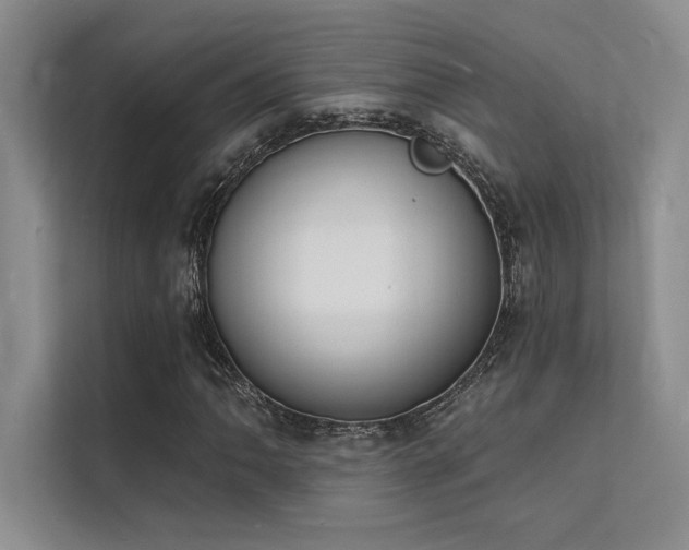 X0000112141062200908071051