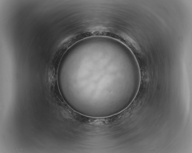 X0000112141063200908071051