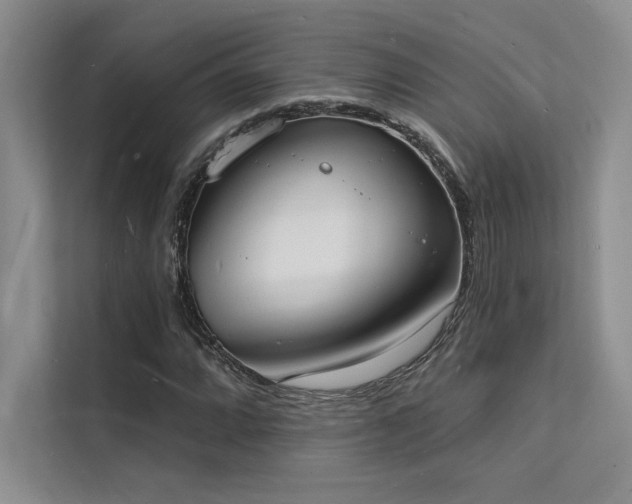 X0000112141064200908071051