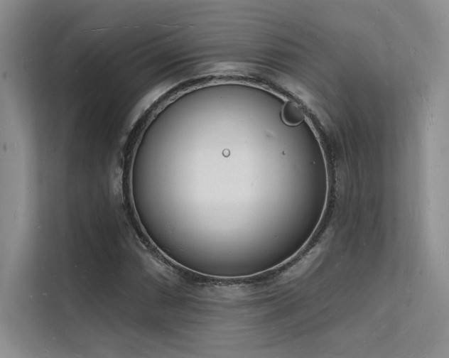 X0000112141066200908071051