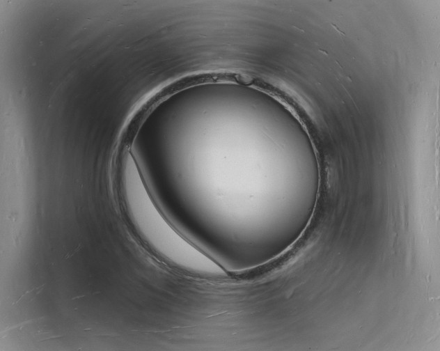 X0000112141069200908071051