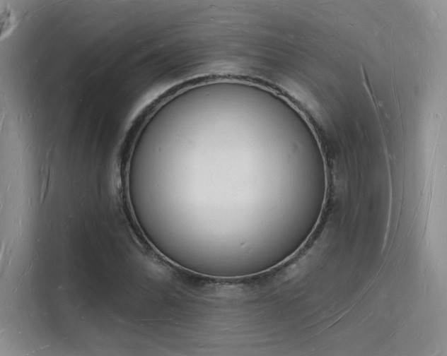 X0000112141070200908071051