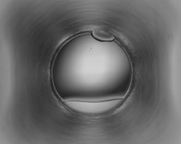 X0000112141073200908071051