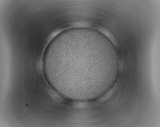 X0000112141074200908071051