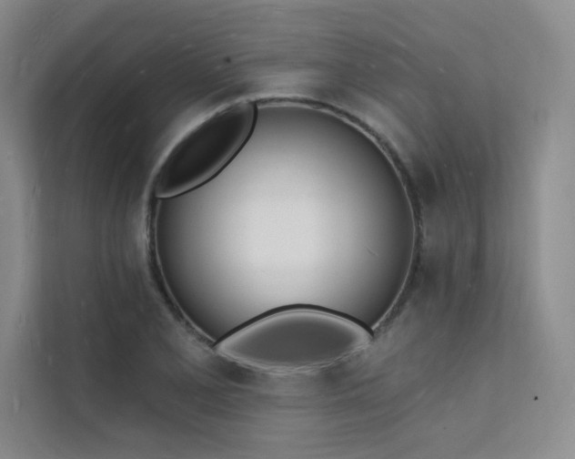 X0000112141077200908071051