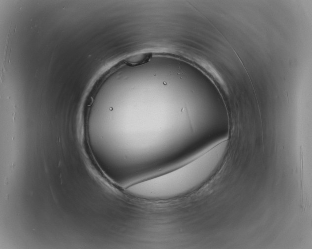 X0000112141080200908071051