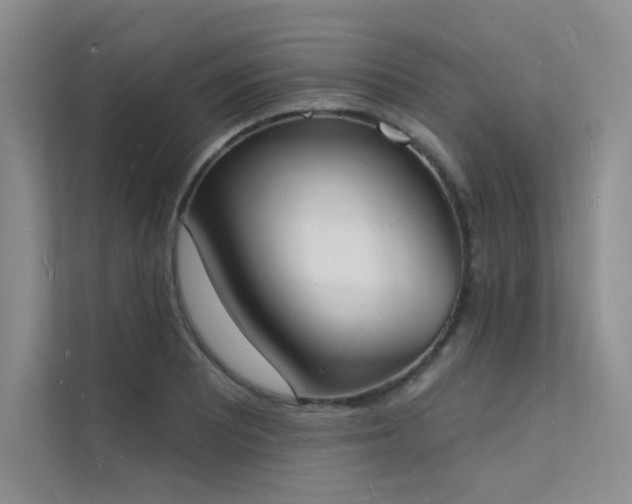 X0000112141081200908071051