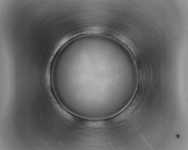 X0000112141083200908071051