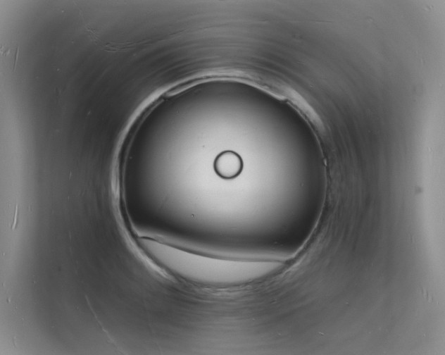 X0000112141084200908071051