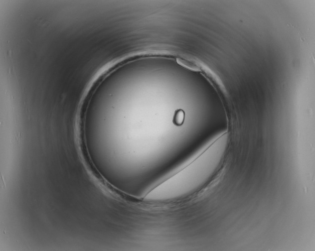 X0000112141085200908071051