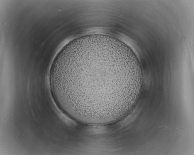 X0000112141090200908071051