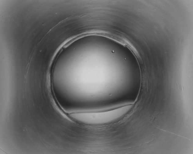 X0000112141092200908071051