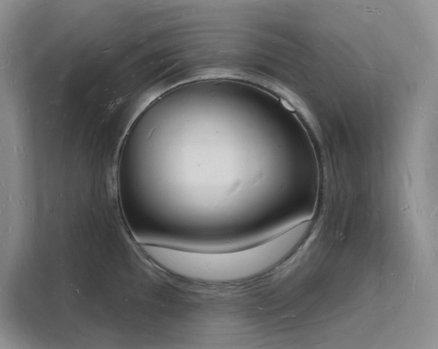 X0000112141097200908071051