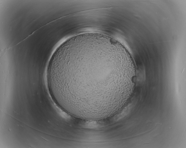 X0000112141098200908071051